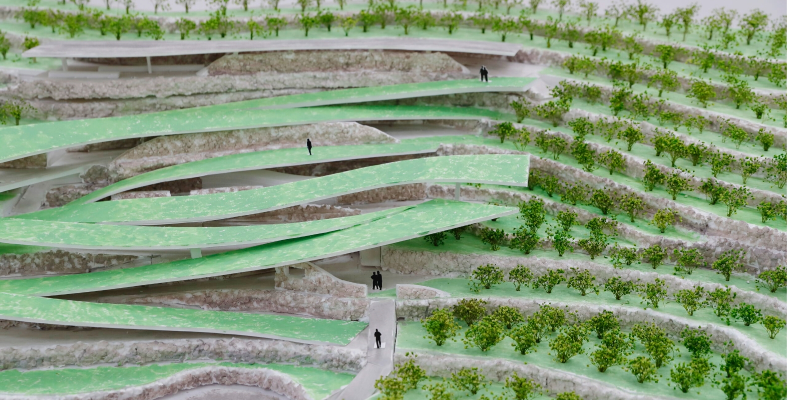 葬の場 ～八幡浜の生業と火葬場をつなぐ～