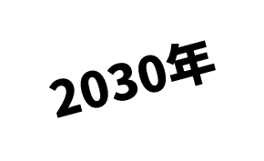 2030年